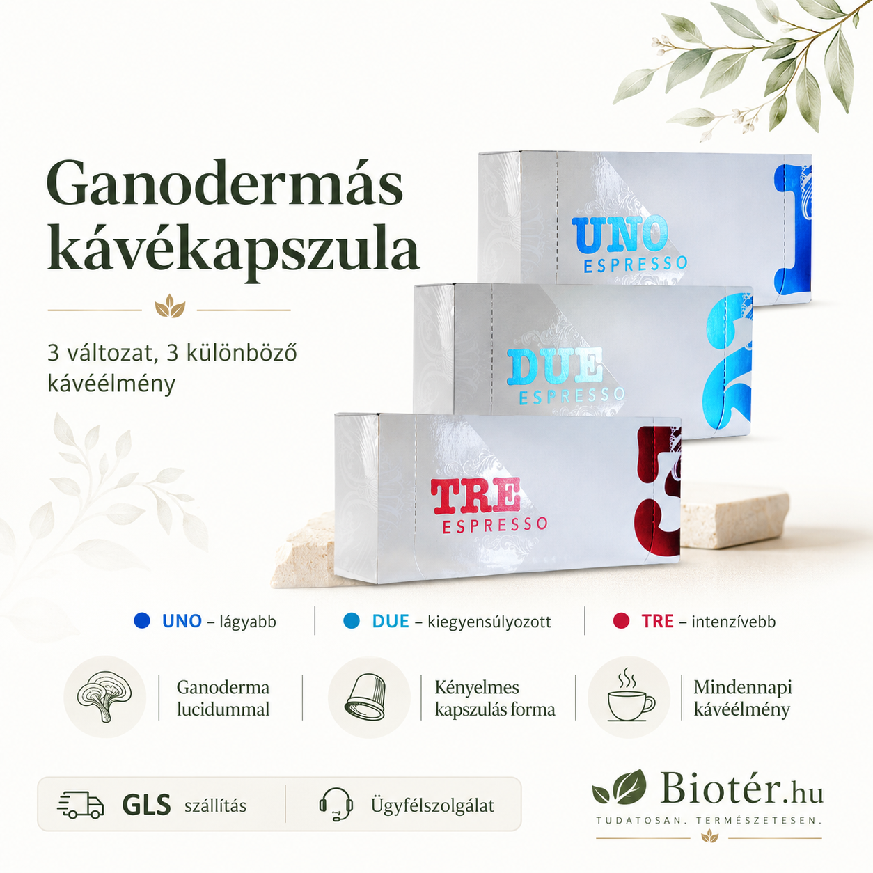 Kávékapszula - Ganoderma (10 kapszula)